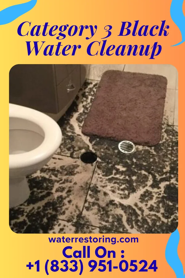 Category 3 Black Water Cleanup in Kincaid, KS